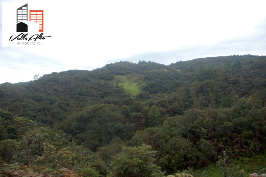 CUENCA, Cuenca, España, ,Lotes-Terrenos,Venta,43206