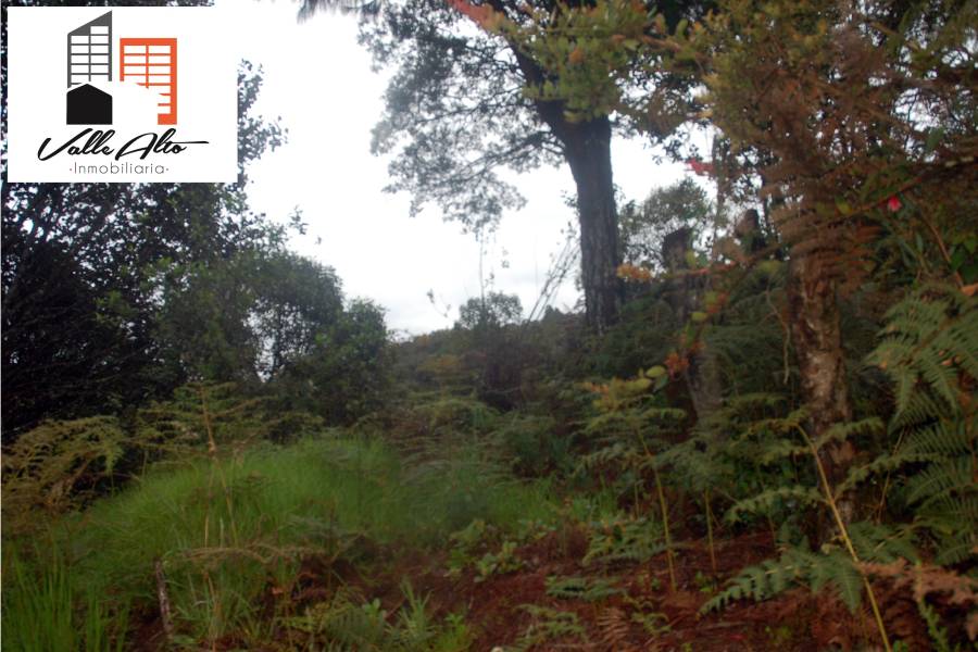 CUENCA, Cuenca, España, ,Lotes-Terrenos,Venta,43206