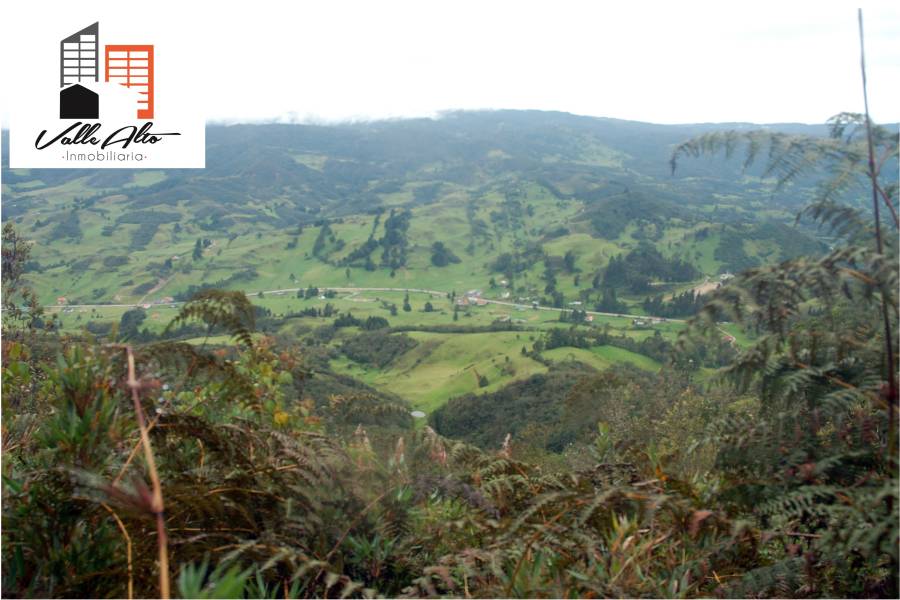 CUENCA, Cuenca, España, ,Lotes-Terrenos,Venta,43206