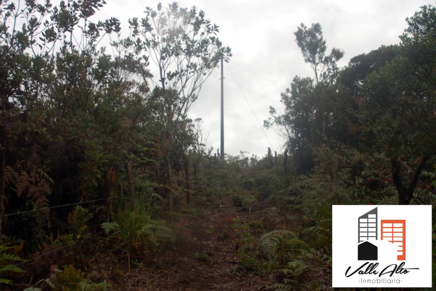 CUENCA, Cuenca, España, ,Lotes-Terrenos,Venta,43206