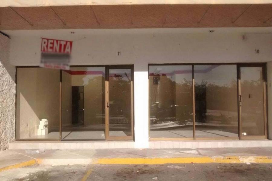 Mérida,Yucatán,Mexico,Locales,4796