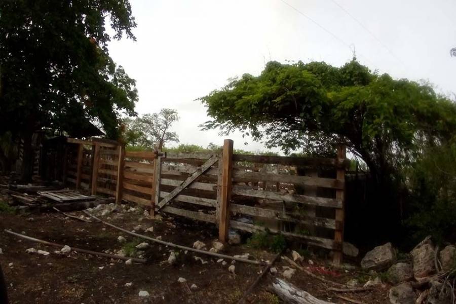 Sucilá,Yucatán,Mexico,1 Dormitorio Bedrooms,1 BañoBathrooms,Fincas-Villas,4799