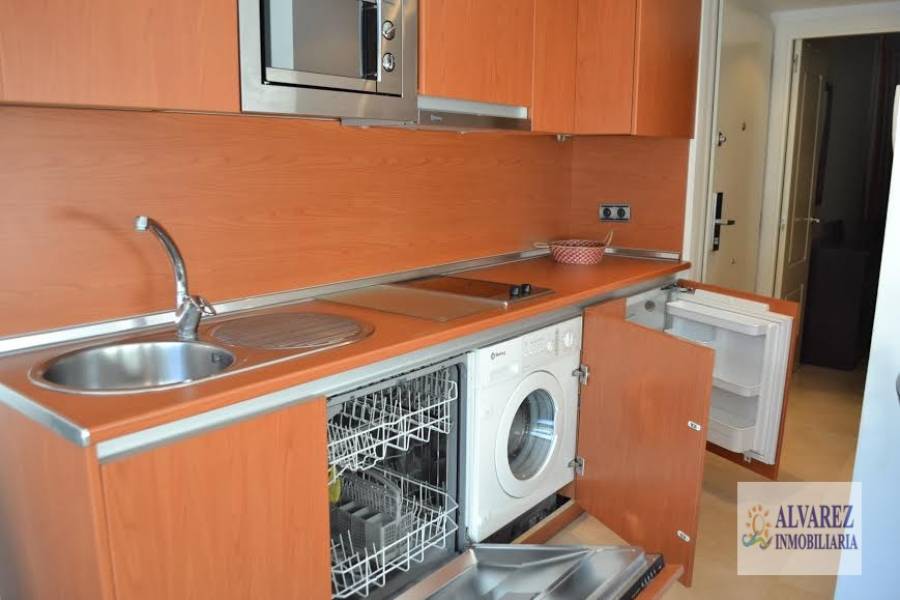 Benalmádena Costa,Málaga,España,1 Dormitorio Bedrooms,1 BañoBathrooms,Apartamentos,4883