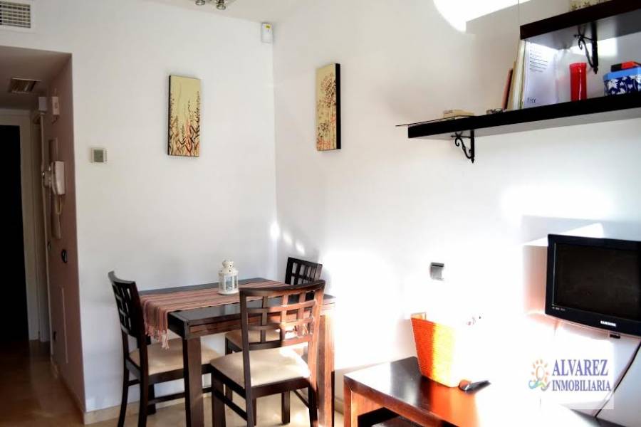 Benalmádena Costa,Málaga,España,1 Dormitorio Bedrooms,1 BañoBathrooms,Apartamentos,4883