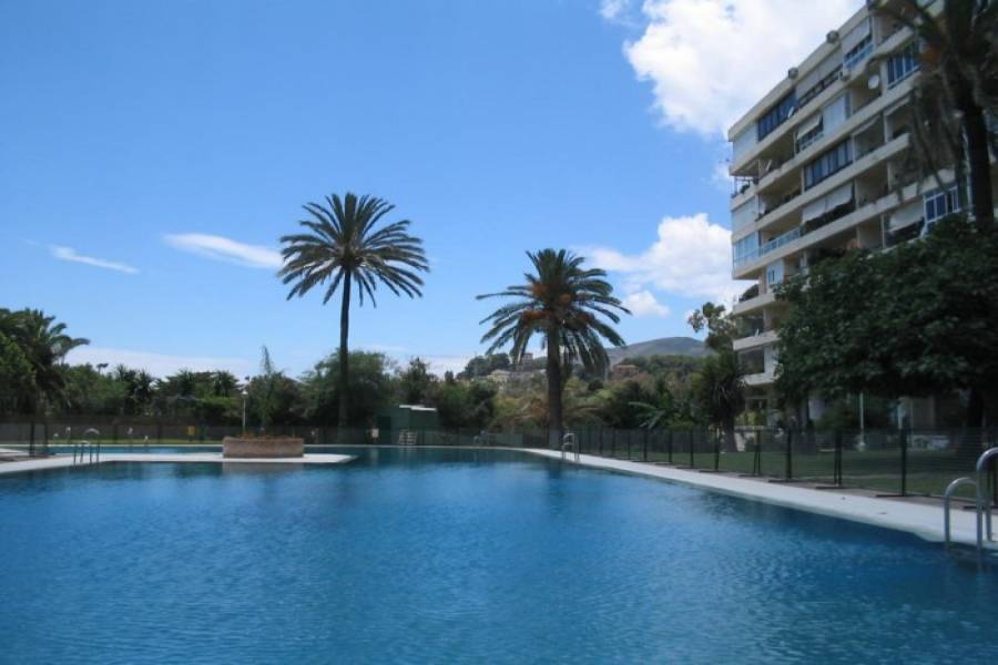 Torremolinos,Málaga,España,Estudios,4950