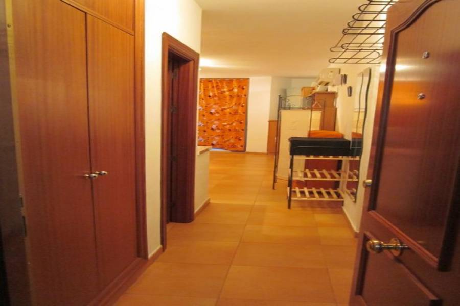 Torremolinos,Málaga,España,Estudios,4950