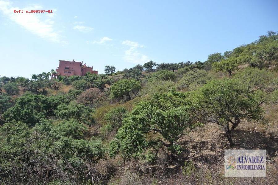 Ojén,Málaga,España,Solares,4965