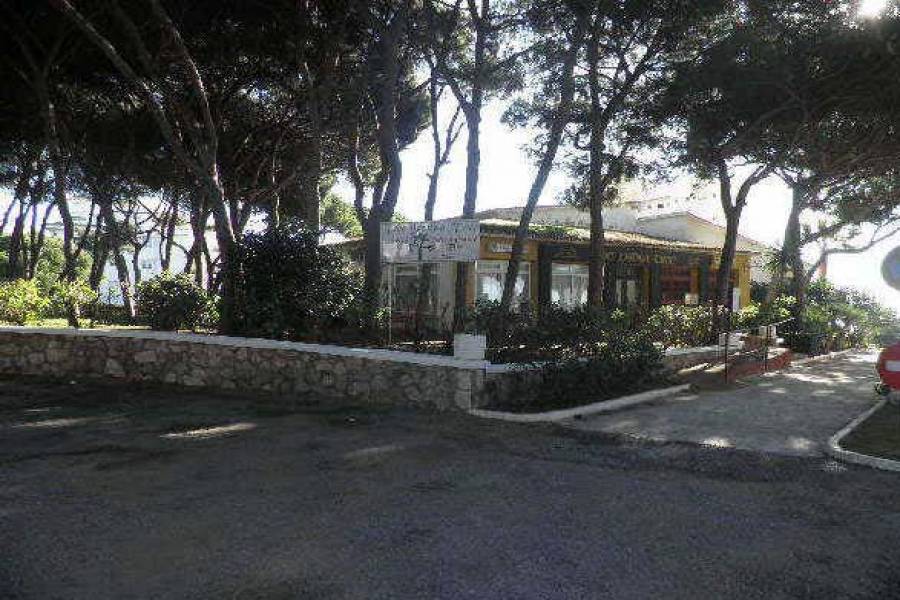 Mijas Costa,Málaga,España,Locales,4967