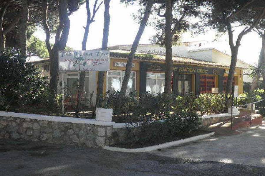 Mijas Costa,Málaga,España,Locales,4967