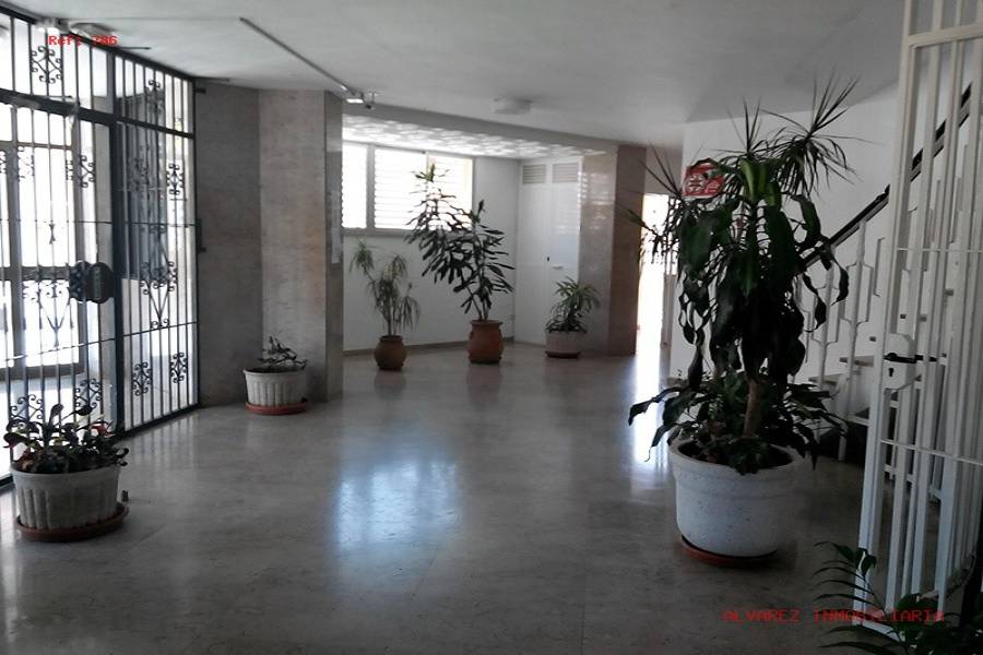 Benalmádena Costa,Málaga,España,1 BañoBathrooms,Estudios,4975