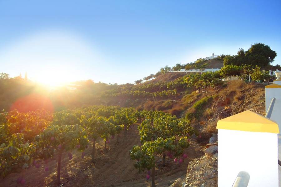 Benajarafe,Málaga,España,4 Bedrooms Bedrooms,4 BathroomsBathrooms,Chalets,4993