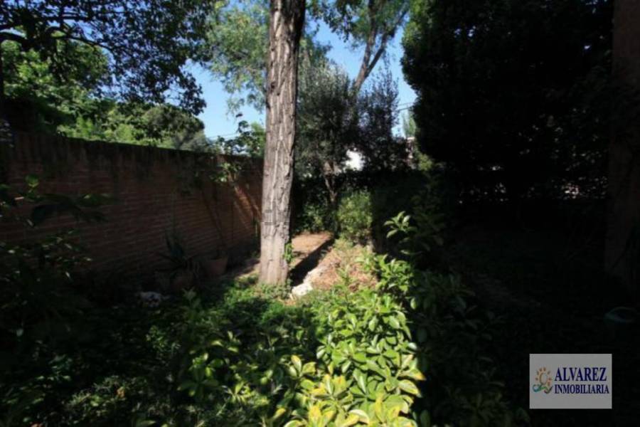 Madrid,Madrid,España,6 Bedrooms Bedrooms,4 BathroomsBathrooms,Chalets,5019