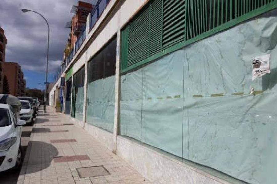Málaga,Málaga,España,Locales,5095
