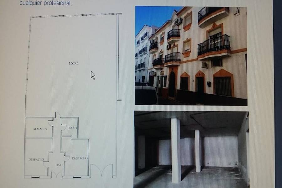 Alhaurín el Grande,Málaga,España,1 BañoBathrooms,Locales,5155