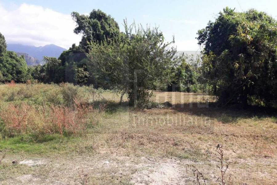 San Blas,Nayarit,Mexico,Lotes-terrenos comercial,5233