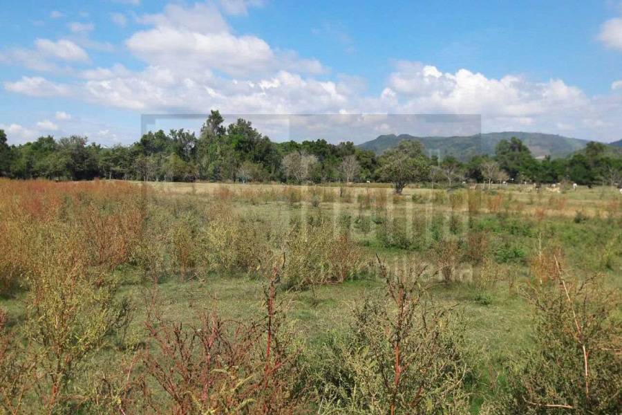 San Blas,Nayarit,Mexico,Lotes-terrenos comercial,5233