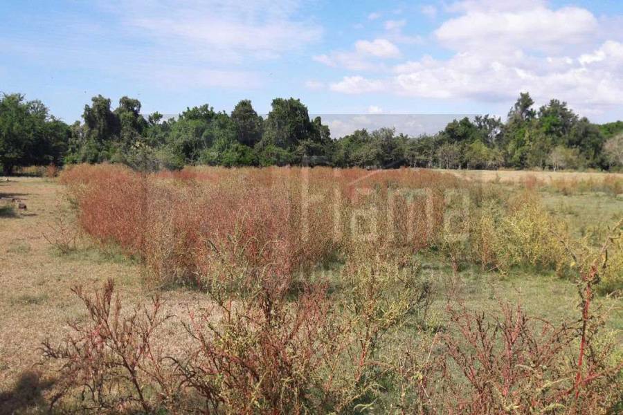 San Blas,Nayarit,Mexico,Lotes-terrenos comercial,5233