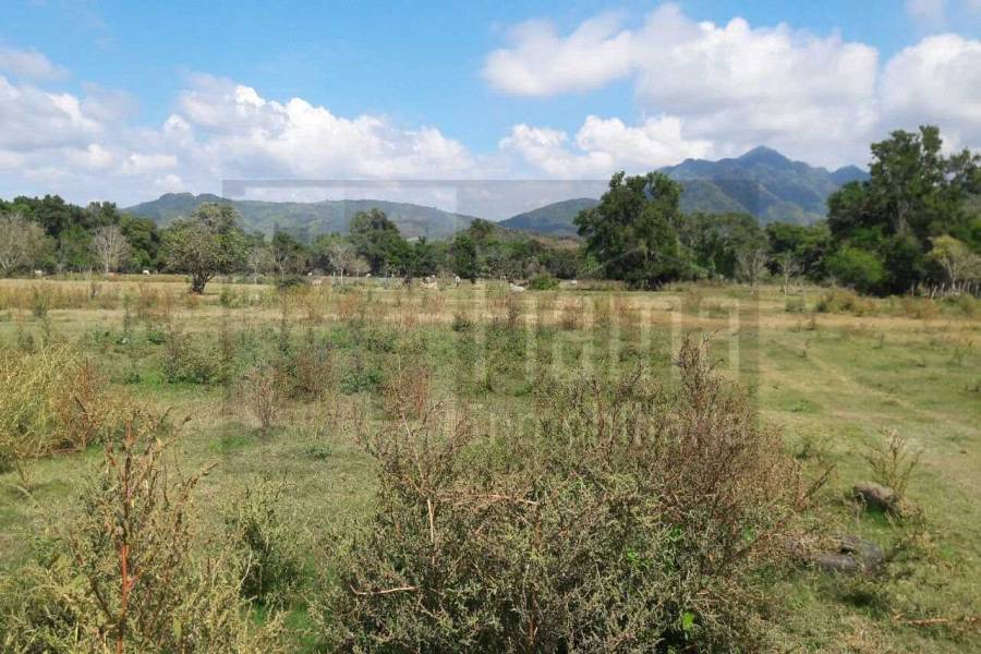 San Blas,Nayarit,Mexico,Lotes-terrenos comercial,5233