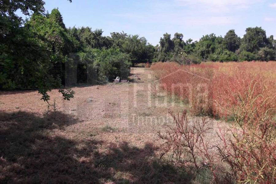 San Blas,Nayarit,Mexico,Lotes-terrenos comercial,5233