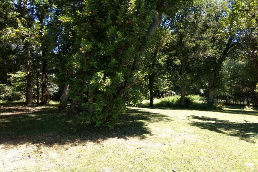 Villa La Angostura,Neuquén,Argentina,4 Bedrooms Bedrooms,3 BathroomsBathrooms,Casas,5246