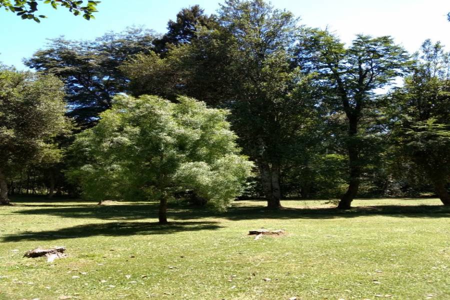 Villa La Angostura,Neuquén,Argentina,4 Bedrooms Bedrooms,3 BathroomsBathrooms,Casas,5246