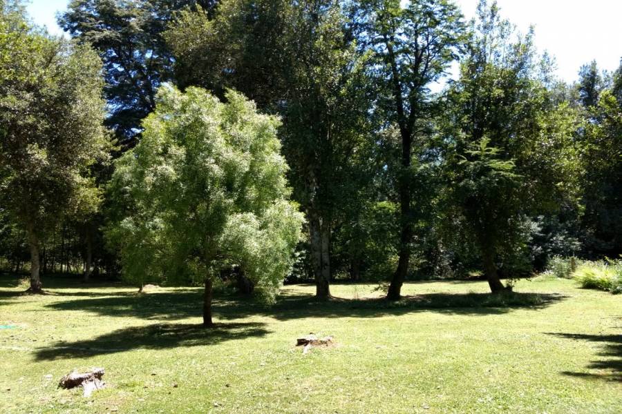 Villa La Angostura,Neuquén,Argentina,4 Bedrooms Bedrooms,3 BathroomsBathrooms,Casas,5246