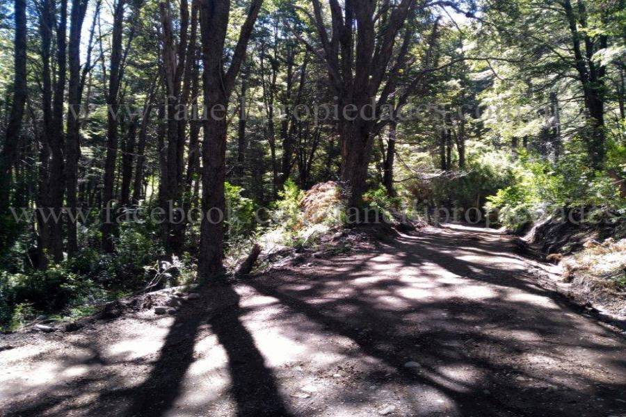 Villa La Angostura,Neuquén,Argentina,Lotes-Terrenos,N° 25,5277