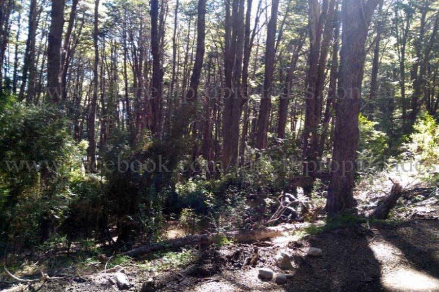 Villa La Angostura,Neuquén,Argentina,Lotes-Terrenos,N° 25,5277