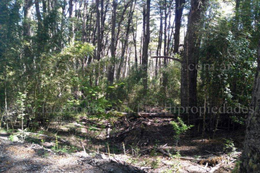 Villa La Angostura,Neuquén,Argentina,Lotes-Terrenos,N° 25,5277