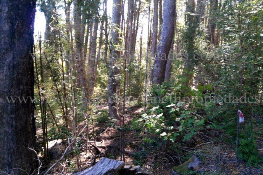 Villa La Angostura,Neuquén,Argentina,Lotes-Terrenos,N° 25,5277