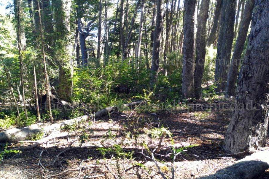 Villa La Angostura,Neuquén,Argentina,Lotes-Terrenos,N° 25,5277