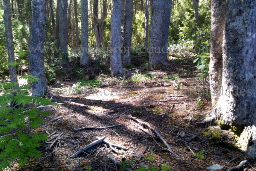 Villa La Angostura,Neuquén,Argentina,Lotes-Terrenos,N° 25,5277