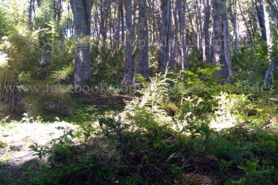 Villa La Angostura,Neuquén,Argentina,Lotes-Terrenos,N° 25,5277