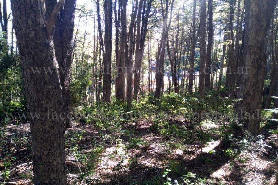 Villa La Angostura,Neuquén,Argentina,Lotes-Terrenos,N° 25,5277