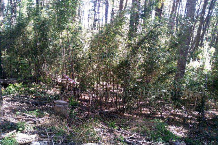 Villa La Angostura,Neuquén,Argentina,Lotes-Terrenos,N° 25,5277