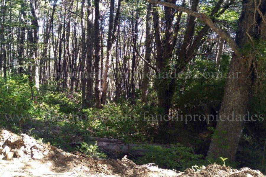 Villa La Angostura,Neuquén,Argentina,Lotes-Terrenos,N° 25,5277