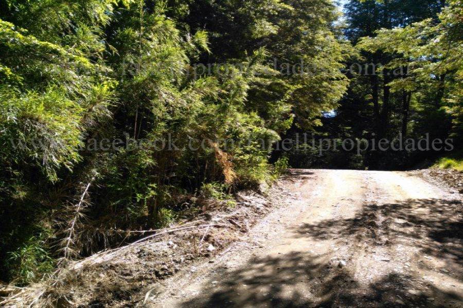 Villa La Angostura,Neuquén,Argentina,Lotes-Terrenos,N° 25,5277