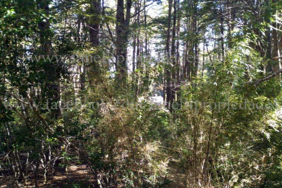 Villa La Angostura,Neuquén,Argentina,Lotes-Terrenos,N° 25,5277