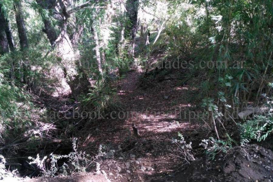 Villa La Angostura,Neuquén,Argentina,Lotes-Terrenos,N° 25,5277