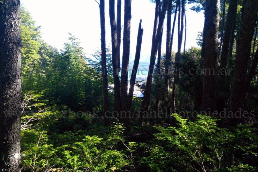 Villa La Angostura,Neuquén,Argentina,Lotes-Terrenos,N° 25,5277