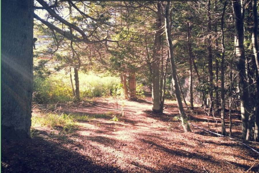 Villa La Angostura,Neuquén,Argentina,2 Bedrooms Bedrooms,1 BañoBathrooms,Apartamentos,Complejo Patagonia,Av 7 Lagos,1,5279