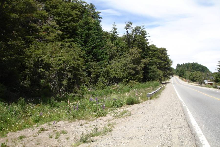 Villa La Angostura,Neuquén,Argentina,Lotes-Terrenos,Ruta 40,5365