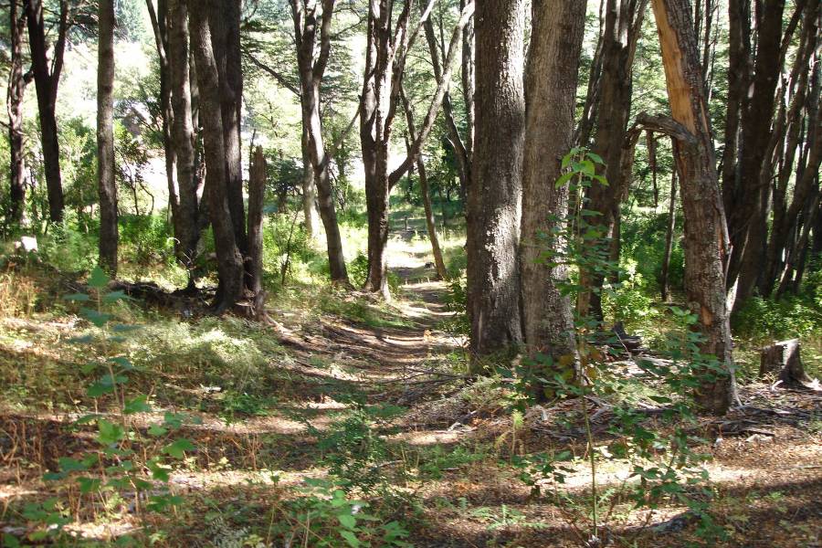 Villa La Angostura,Neuquén,Argentina,Lotes-Terrenos,Ruta 40,5365