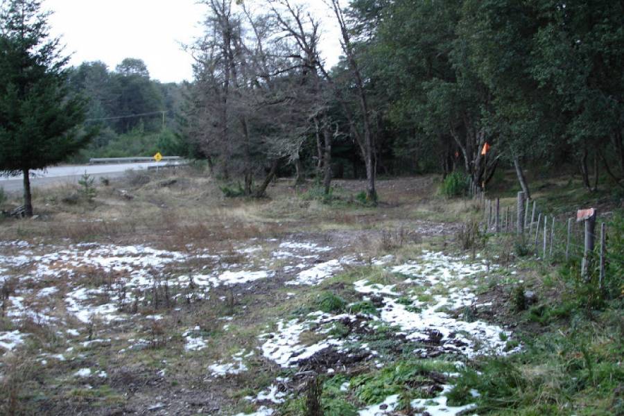 Villa La Angostura,Neuquén,Argentina,Lotes-Terrenos,Ruta 40,5365