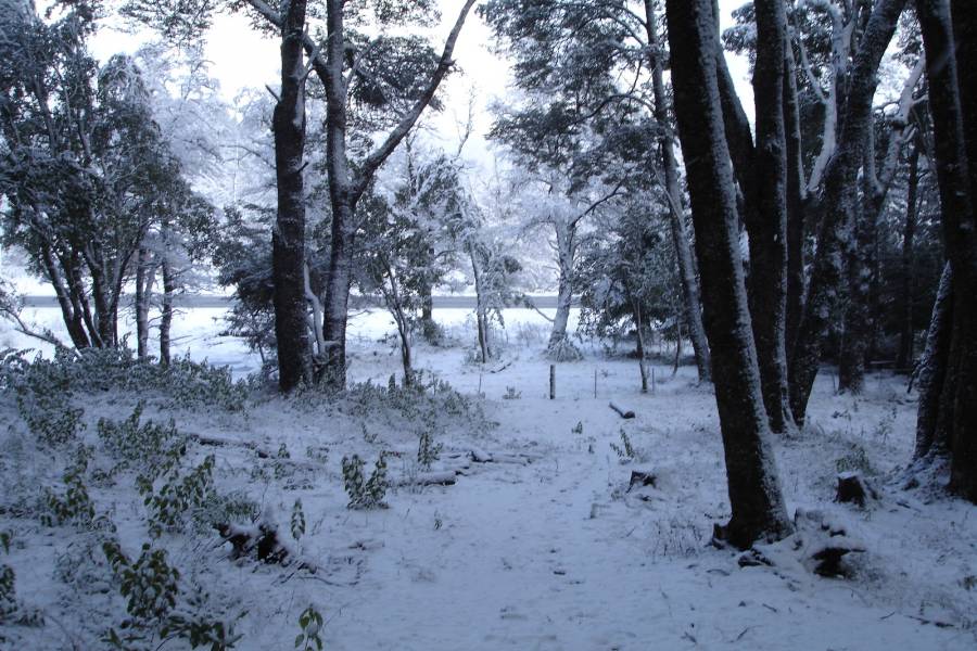 Villa La Angostura,Neuquén,Argentina,Lotes-Terrenos,Ruta 40,5365