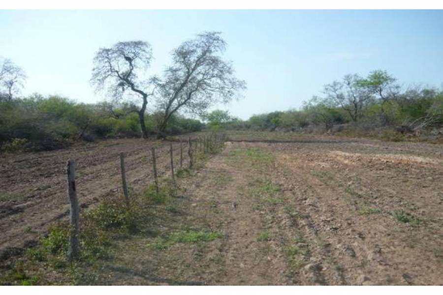 Gancedo,Chaco,Campos,Ruta 89,1465