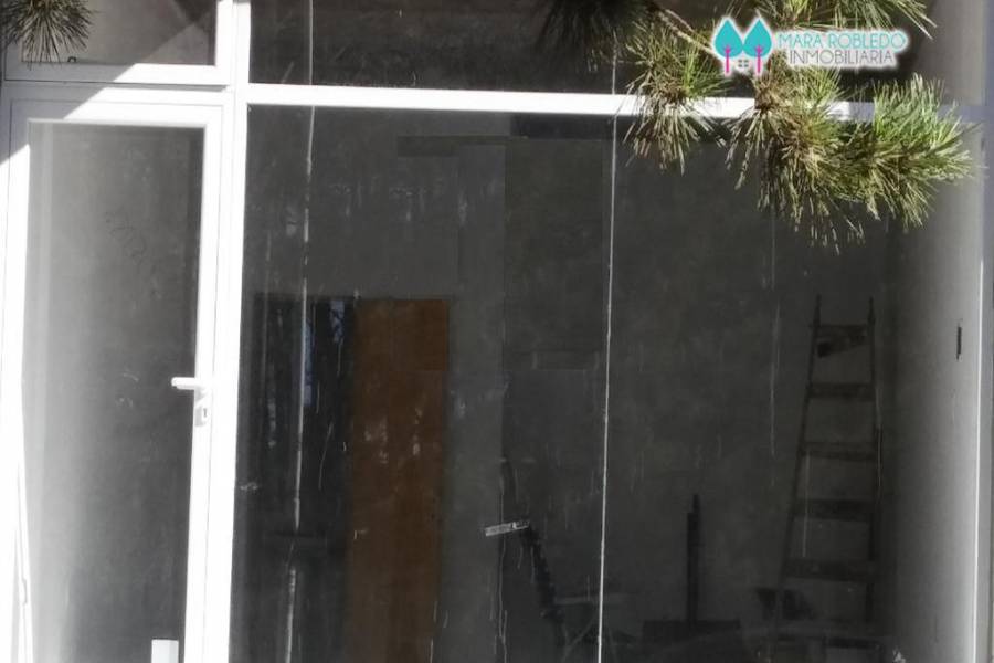 Valeria del Mar,Buenos Aires,Argentina,1 Habitación Rooms,1 BañoBathrooms,Locales,ESPORA 1402,5615