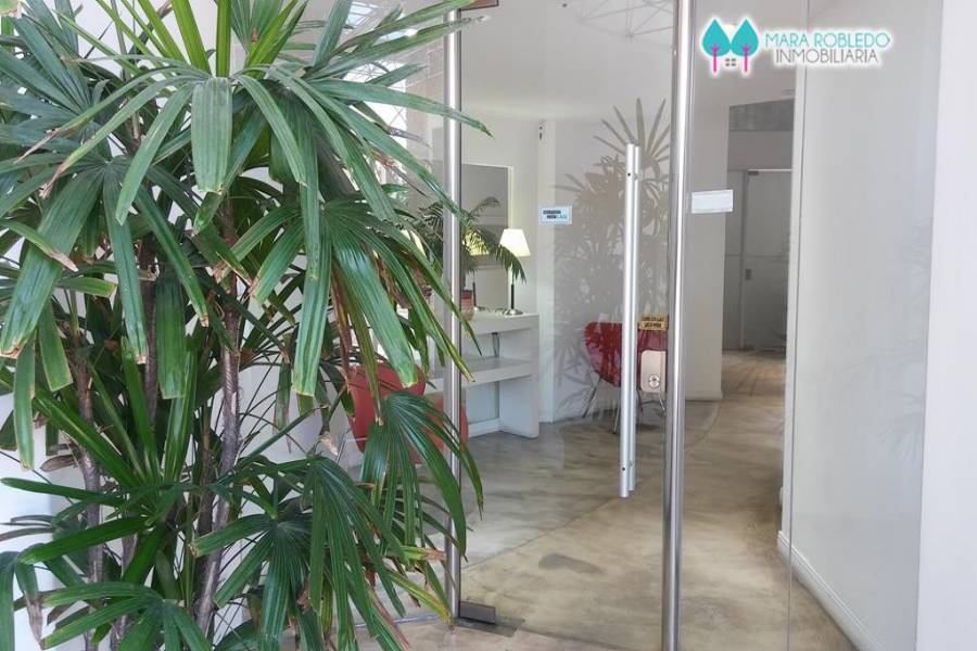 Pinamar,Buenos Aires,Argentina,2 Bedrooms Bedrooms,2 BathroomsBathrooms,Apartamentos,AV. BUNGE 17 PISO 2°,5641