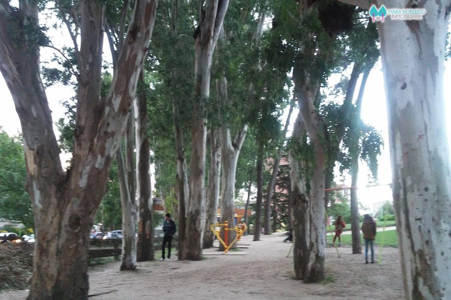 Pinamar,Buenos Aires,Argentina,1 Dormitorio Bedrooms,1 BañoBathrooms,Apartamentos,JASON,4,5818