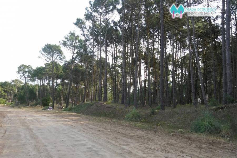Pinamar,Buenos Aires,Argentina,Lotes-Terrenos,LOS ALAMOS,5844